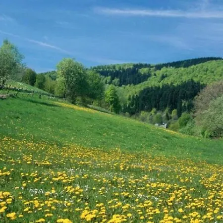 Wonderful In With Garden Appartement *